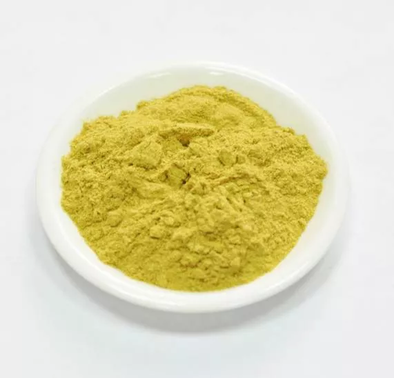 Сухой экстракт гинкго билобы - флавоноиды 24% (лист) (лат. Ginkgo Biloba)